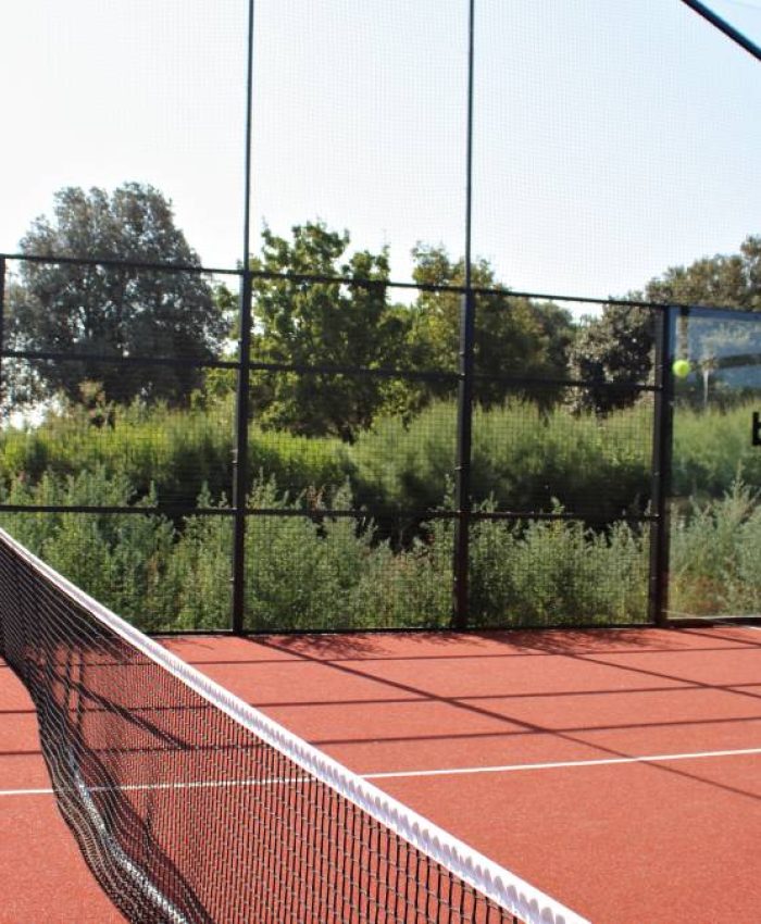 alice bacquie tennis vs padel